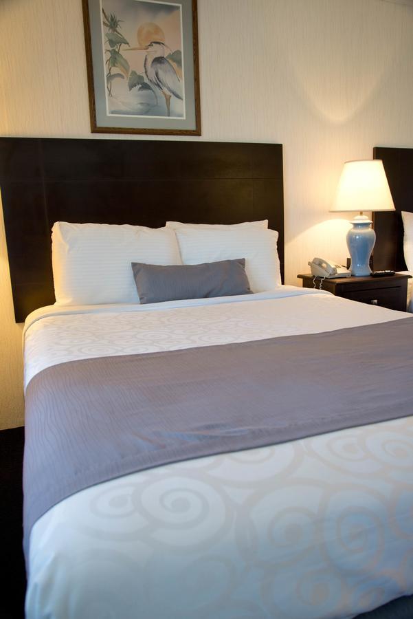 Sea Shell Motel Chincoteague Εξωτερικό φωτογραφία