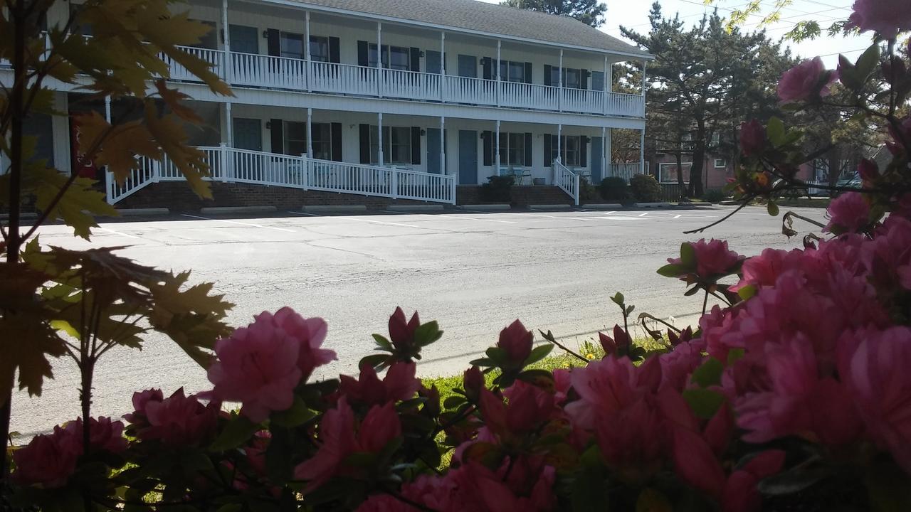 Sea Shell Motel Chincoteague Εξωτερικό φωτογραφία