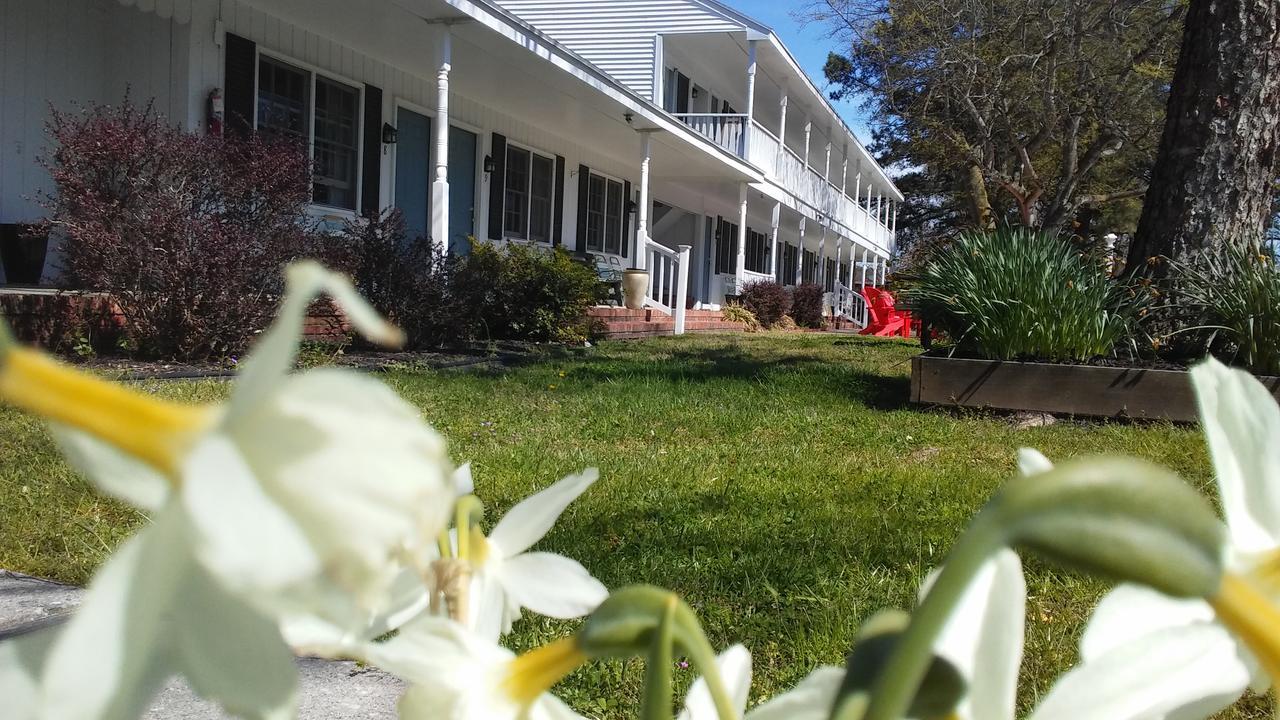 Sea Shell Motel Chincoteague Εξωτερικό φωτογραφία